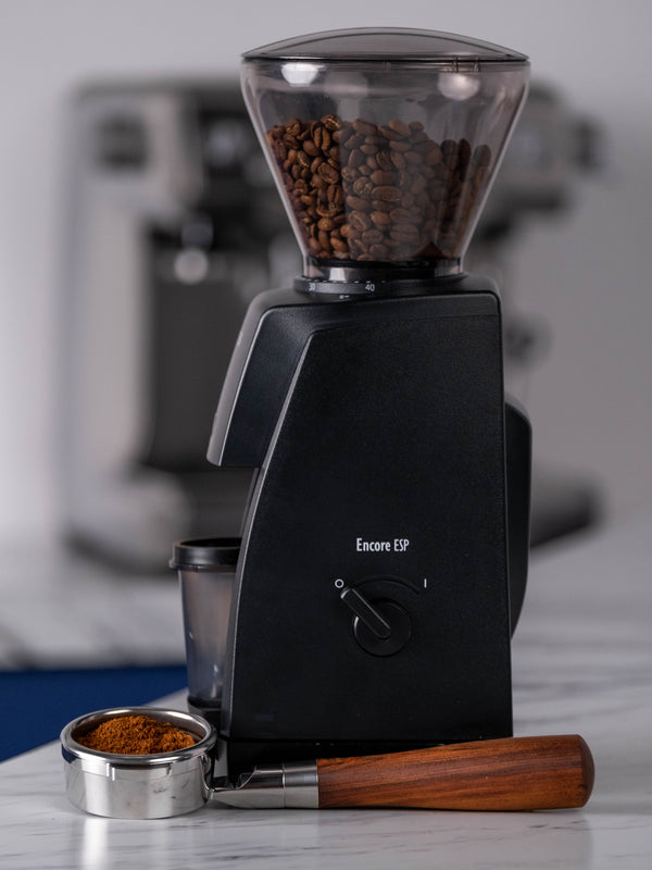 Encore 230V Coffee Grinder (Black)