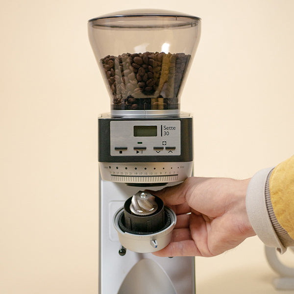 Sette 30 240V Coffee Grinder